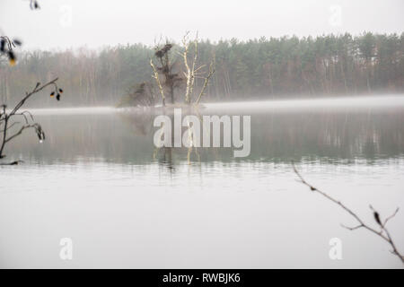 Seeaufnahmen bei Alzenau Foto Stock