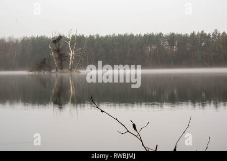 Seeaufnahmen bei Alzenau Foto Stock