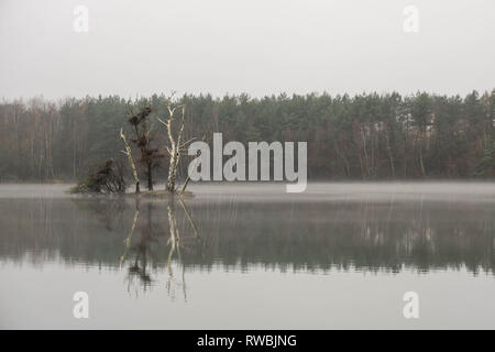 Seeaufnahmen bei Alzenau Foto Stock