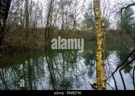 Seeaufnahmen bei Alzenau Foto Stock