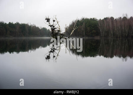 Seeaufnahmen bei Alzenau Foto Stock