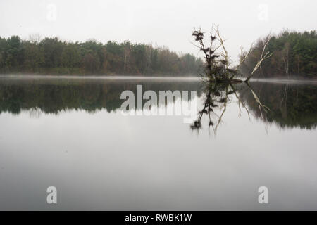 Seeaufnahmen bei Alzenau Foto Stock