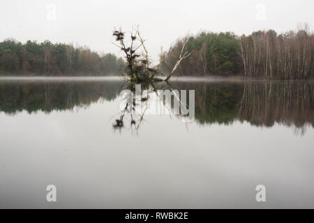 Seeaufnahmen bei Alzenau Foto Stock