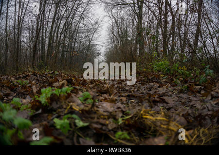 Seeaufnahmen bei Alzenau Foto Stock