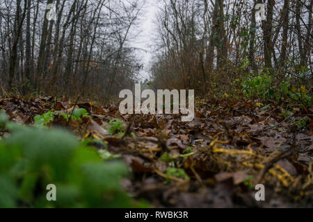 Seeaufnahmen bei Alzenau Foto Stock