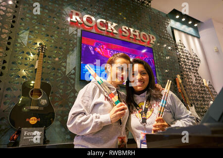 Roma, Italia - circa novembre, 2017: coperta ritratto di personale al Rock shop a Roma. Foto Stock