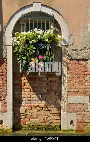 Fiori sul verde reticolo di ferro in corrispondenza della finestra su Canal a Venezia, Italia. Foto Stock