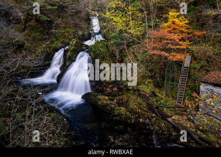 Forza Colwith sezione inferiore con il vecchio mulino, poco Langdale, Lake District, Cumbria, England, Regno Unito Foto Stock