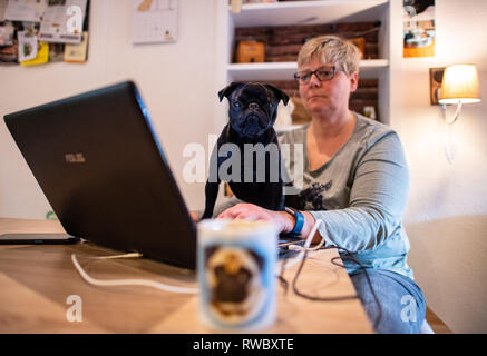 04 marzo 2019, della Renania settentrionale-Vestfalia, Wülfrath: Il pug cane precedentemente noto come Edda, ora chiamato Wilma, con il suo nuovo proprietario Michaela Giordania. Foto: Guido Kirchner/dpa Foto Stock