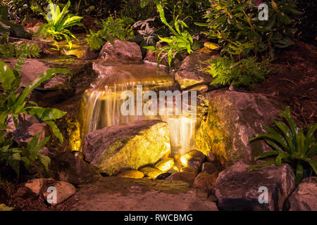 Il paesaggio naturale di design con le cascate, piante e illuminazione drammatica. Foto Stock