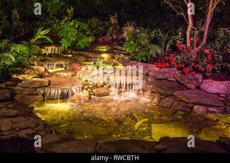 Landscape design con le cascate, piante e illuminazione drammatica. Foto Stock