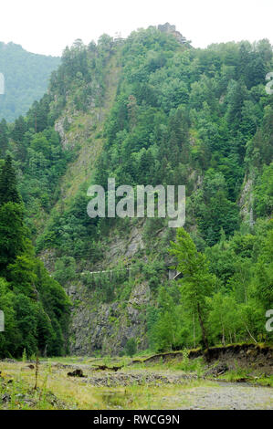 Cetatea gotico Poenari Poenari (castello) in Poenari, Romania. 19 luglio 2009, costruita nel XIII secolo e ricostruita nel XV secolo da Vlad l'Impalatore voivo Foto Stock