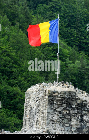 Cetatea gotico Poenari Poenari (castello) in Poenari, Romania. 19 luglio 2009, costruita nel XIII secolo e ricostruita nel XV secolo da Vlad l'Impalatore voivo Foto Stock