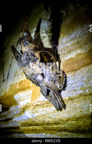 Un cranio utilizzato per decorare una stanza usata per riunioni nelle catacombe sotto Odessa Foto Stock