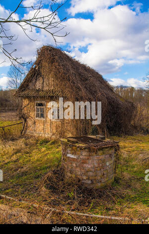 Un abbandonato casa tradizionale nel piccolo villaggio di Suvoj in Sisak-Moslavina County, Croazia centrale. Un bene può essere visto in primo piano Foto Stock