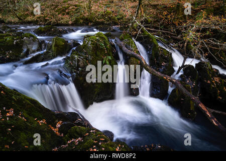 Forza Colwith cascata sezione superiore, Little Langdale, Lake District, Cumbria, England, Regno Unito Foto Stock