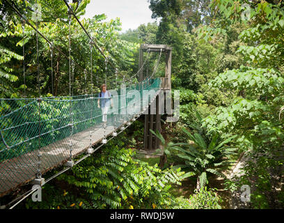 Taman Eko Rimba KL, Kuala Lumpar eco park nel cuore della città, il Bukit Nanas, albero pontile Foto Stock