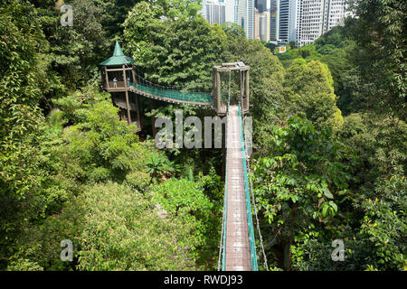 Taman Eko Rimba KL, Kuala Lumpar eco park nel cuore della città, il Bukit Nanas, albero pontile Foto Stock