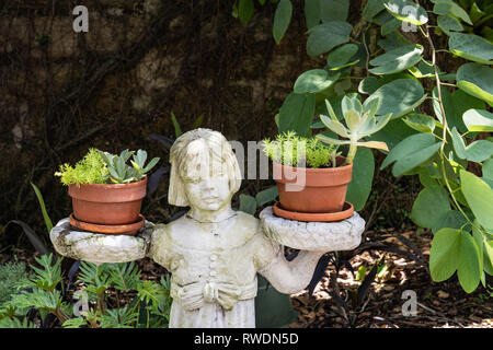 Weathered bianco garden statua della ragazza con il verde le piante succulente Foto Stock