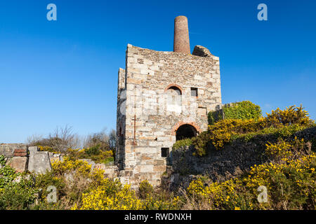 Rovine della ex miniera di edifici con Wheal Peevor vicino a Redruth Cornwall, parte dell'Cornish Mining Sito Patrimonio Mondiale. Inghilterra UK Europa Foto Stock