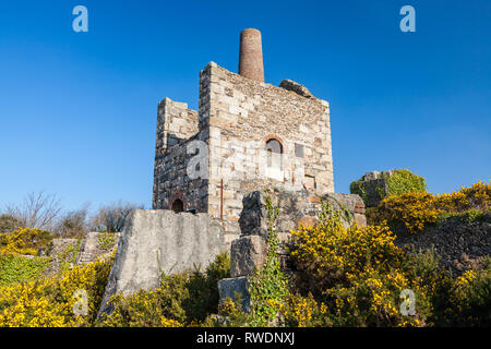 Rovine della ex miniera di edifici con Wheal Peevor vicino a Redruth Cornwall, parte dell'Cornish Mining Sito Patrimonio Mondiale. Inghilterra UK Europa Foto Stock