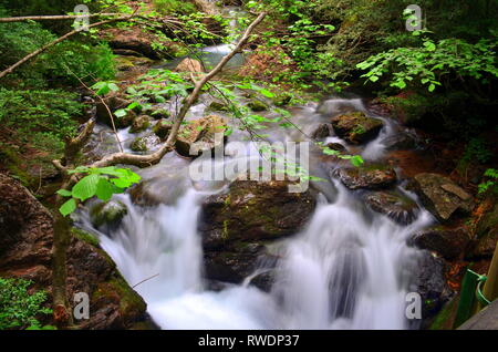 Fonti del Llobregat, Barcellona, Spagna Foto Stock