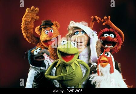 GONZO,BEAR,rana,PIGGY,animale il Muppet Show, 1976 Foto Stock