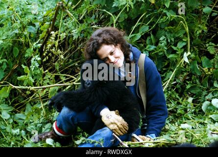 WEAVER,GORILLA Gorilla nella nebbia, 1988 Foto Stock