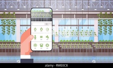 Mano che tiene lo smartphone utilizzando il controllo intelligente del sistema di allevamento di applicazione mobile hydroponic organico piante verdi coltivazione filari agriturismo serra moderna Illustrazione Vettoriale