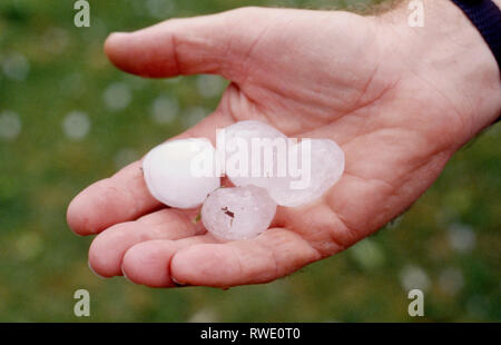 PRIMA PIANURA DI MANO CHE TIENE GRANDI PALLI DI GRANDINE DOPO TEMPE STORICHE A SYDNEY, NEW SOUTH WALES, AUSTRALIA. Foto Stock