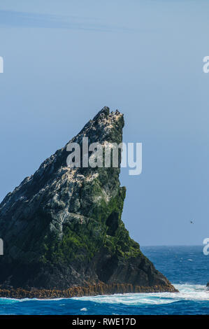 Close-up di uno degli Shag Rocks Foto Stock