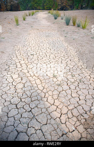 Profondamente incrinato in massa outback Australia durante la siccità devastanti, presa nella parte occidentale del Nuovo Galles del Sud a essiccato fino riverbed Foto Stock