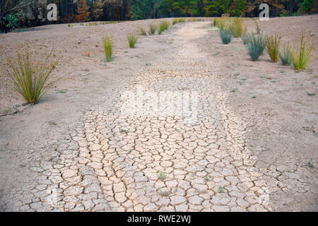 Profondamente incrinato in massa outback Australia durante la siccità devastanti, presa nella parte occidentale del Nuovo Galles del Sud a essiccato fino riverbed Foto Stock