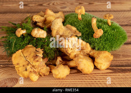 Appena tagliate i funghi finferli su rustico sfondo di legno Foto Stock