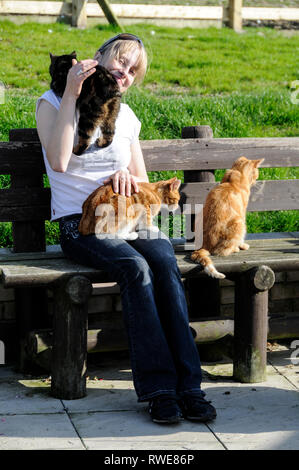 Un gatto Manx senza la sua coda, si arrampica sulla spalla del suo caregiver al Mann Cat santuario sulla isola di Man Isola di Man con la sua capitale Foto Stock