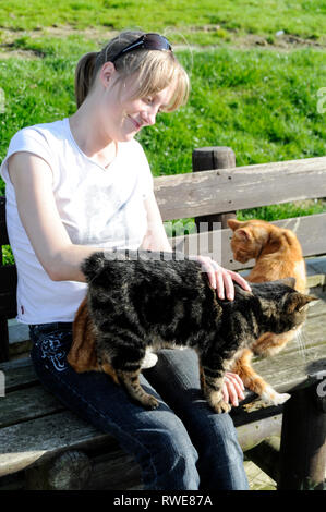 Un gatto Manx senza una coda con il suo accompagnatore al Mann Cat santuario sulla isola di Man Isola di Man con la sua capitale, Douglas si trova a th Foto Stock