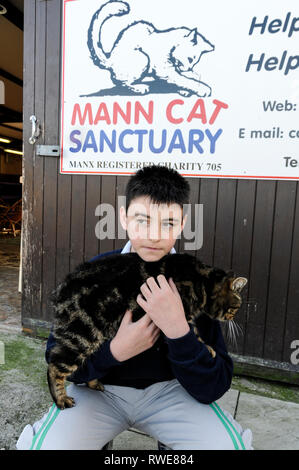 Un Manx cat ( senza una coda) con il suo accompagnatore al Mann Cat santuario sulla isola di Man Isola di Man con la sua capitale, Douglas si trova in Foto Stock