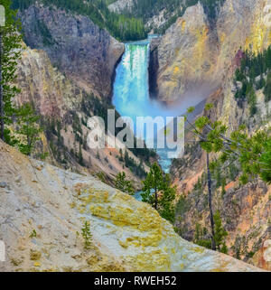 La cascata nel dipinto di Canyon in Wyoming, STATI UNITI D'AMERICA Foto Stock