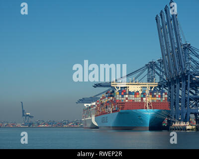 Da Landguard Point, Maastricht Maersk ormeggiava al porto del fiume Felixstowe Orwell Suffolk Inghilterra, Regno Unito Foto Stock