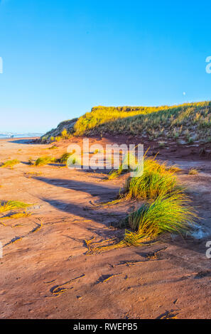 Le dune di sabbia, Brackley Beach, Prince Edward Island National Park, Canada Foto Stock