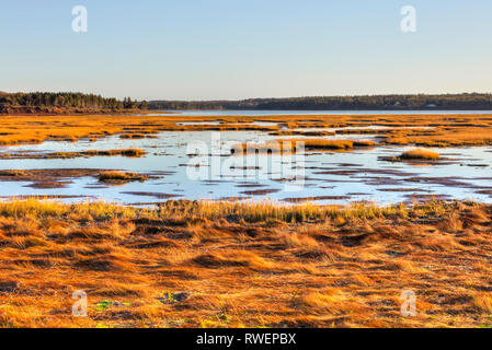 Covehead, Brackley Beach, Prince Edward Island National Park, Canada Foto Stock