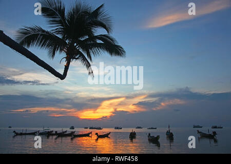 Silhouette di una palma appoggiata in mare con barche da pesca all'orizzonte & un tramonto in background, Sariee Beach, Koh Tao, Thailandia. Foto Stock