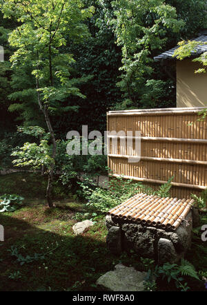 Giapponese parete di bambù nel giardino esterno con alberi e piante Foto Stock