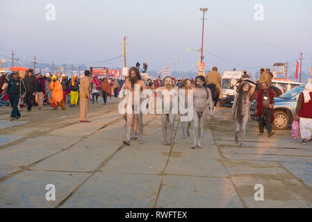 Di Allahabad / India 15 gennaio 2019 Naga Sadhus o indù i santi uomini di arrivare a fare un tuffo nel corso del primo Shahi Snan (grand bagno) a Prayagraj Kumbh Mela Foto Stock