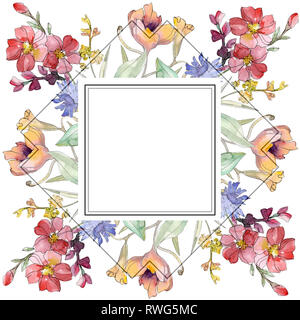 Bouquet di fiori selvaggi botanico floreale di fiori. Acquerello illustrazione dello sfondo impostato. Bordo del frame ornamento square. Foto Stock