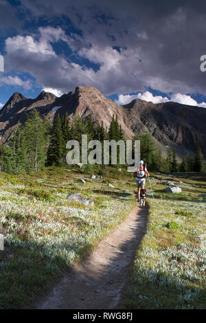 Escursionismo in Jumbo Pass, BC, Jumbo, cabina Foto Stock