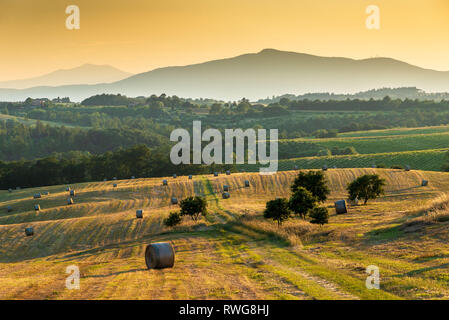 MONTEGABBIONE, UMBRIA / Italia, 18 giugno 2018: fresco di balle di fieno in un campo al tramonto. Foto Stock