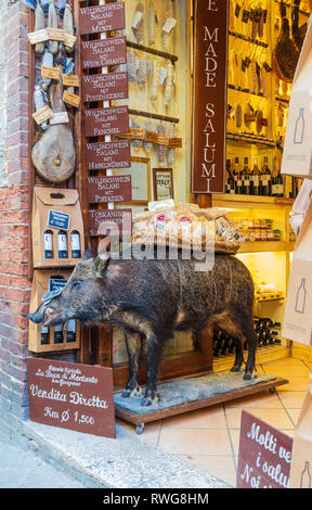 SAN GIMIGNANO TOSCANA / Italia, 20 giugno 2018: Un sapientemente maiale farcito induce gli acquirenti a un negozio di specialità gastronomiche a San Gimignano, città medievale fortificata in esso Foto Stock