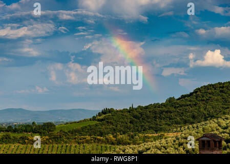 SAN GIMIGNANO TOSCANA / Italia, 20 giugno 2018: un arcobaleno su vigneti e oliveti in Italia la provincia Toscana. Foto Stock