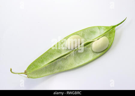 Verde fagiolo (Phaseolus vulgaris). Aperto dei fagioli freschi pod con semi di bianco. Studio Immagine contro uno sfondo bianco Foto Stock